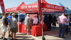 Tents for Outdoor Event Season